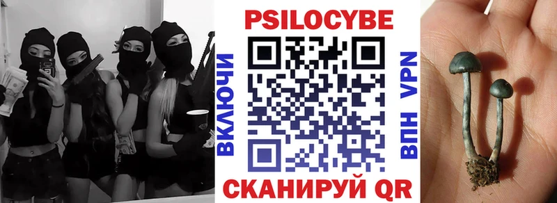 Псилоцибиновые грибы Magic Shrooms  Великий Устюг 