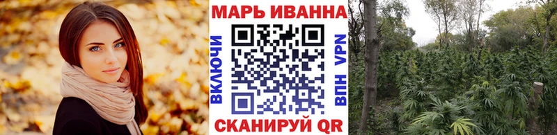Бошки Шишки VHQ  кракен ссылки  Великий Устюг 